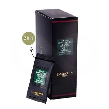 DAMMANN FRÈRES® Chá Arômes Citron Gingembre Bio 24 un.